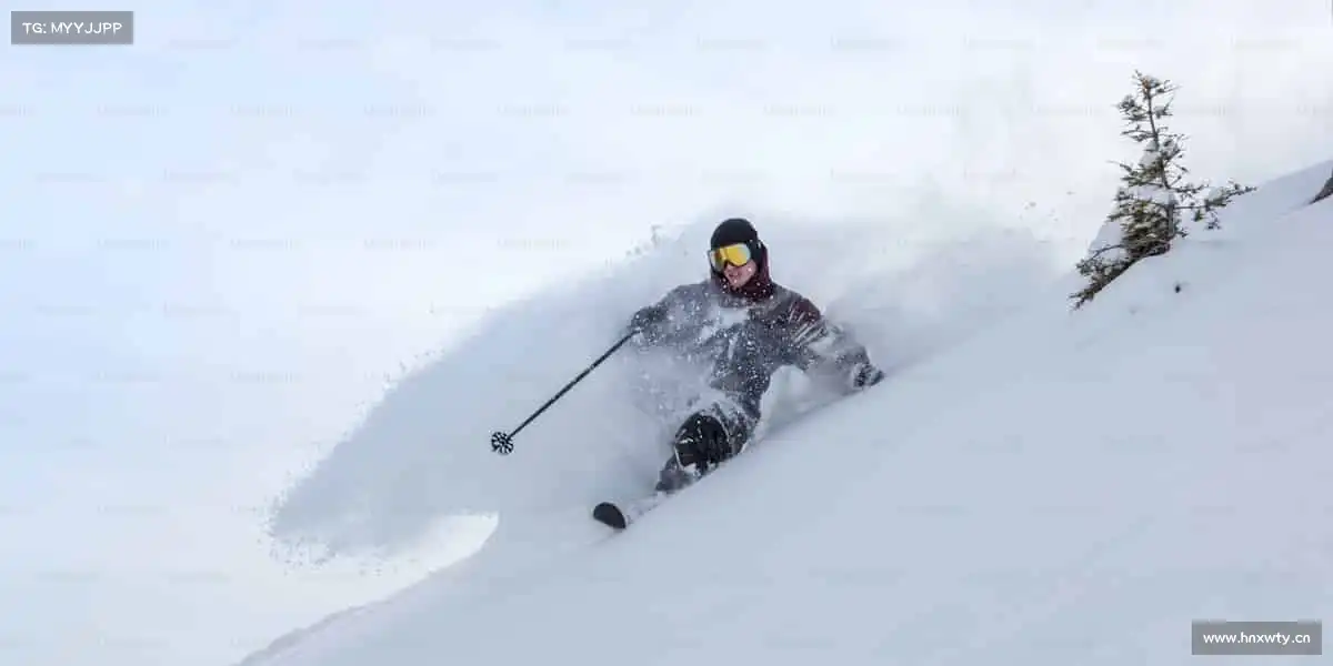 我们的品牌价值